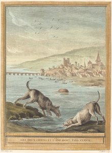 两只狗和一头死驴 作者 让·巴蒂斯特·乌德里 (Jean Baptiste Oudry) 之后的 Elie du Mesnil