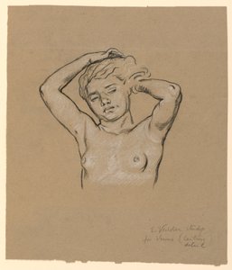 素描，《维纳斯》研究，约 1885 年 作者 伊莱休·维德
