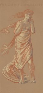 站立披着女性形象，c.1872-77（蜡纸上的蜡笔） 作者 伊莱休·维德