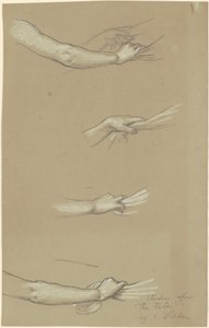 命运聚集在星空》的研究，约1884-1887年。 作者 Elihu Vedder