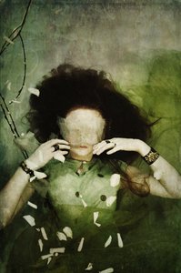 隐藏真实的你，2013 年（丝网版画） 作者 埃琳莱蒂西亚·霍加博