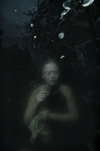 表面之下，2016（丝网印刷） 作者 埃琳莱蒂西亚·霍加博