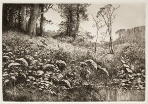夏天的午后 作者 Elis F. Miller