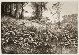 夏天的午后》，1882年。 作者 埃利斯·F·米勒