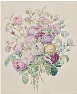 一束波旁玫瑰 作者 艾丽莎·埃米莉·莱米尔