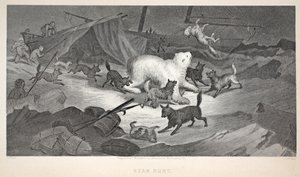 熊狩猎，插图来自&39;寻找约翰富兰克林爵士的第二次格林内尔探险......&39;，1856年