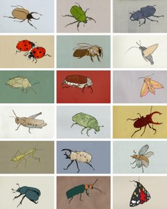 昆虫 作者 伊丽莎·索思伍德（Eliza Southwood）