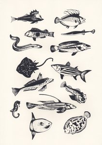 Monotone Plain Fish，2015（丝网印刷）