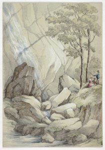 Powerscourt 瀑布 作者 伊丽莎白·默里