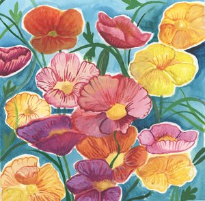 冰岛罂粟花，2018（水彩画）