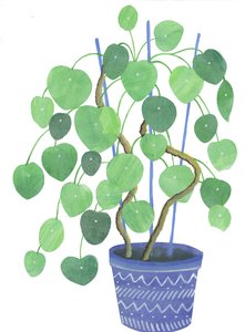 楹联植物，2017（水彩和拼贴画）