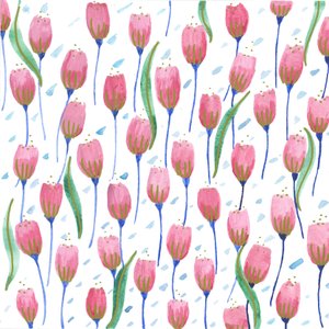 粉色郁金香，2017（水彩画）
