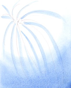 一切美好的事物都来自上帝的父爱--就像遥远的针尖，在时间之前：创造、生命、上帝的救赎计划、为我们而死的圣子、引导我们的圣灵、使我们成圣的教会，2004 年（纸面水彩画 作者 伊丽莎白王