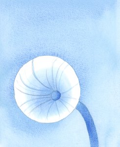 上帝提供给我们的食物应该被视为我们在地球上旅行的燃料，2005 年（纸上水彩画） 作者 伊丽莎白王