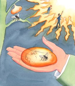 地狱或天堂的“永恒”是什么意思？无论是自私还是恩典，都意味着“不可改变地被俘获”。要么因个人的自由选择而在没有上帝的情况下永恒地被抓住 作者 伊丽莎白王