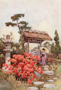杜鹃花（彩色平版） 作者 艾拉·杜甘蔗