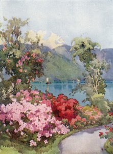 杜鹃花，科莫湖（彩色平版印刷）