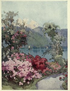 杜鹃花，科莫湖，理查德-巴戈特《意大利湖泊》插图 作者 艾拉·杜甘蔗