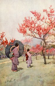 桃花（彩色印刷版） 作者 艾拉·杜甘蔗