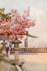 粉红樱桃（彩色平版） 作者 艾拉·杜甘蔗