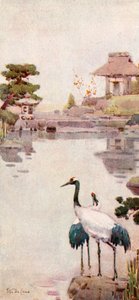 鹳雀》（彩色印刷版） 作者 艾拉·杜甘蔗
