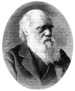 查尔斯·达尔文（Charles Darwin），19世纪英国博物学家，1900年。
