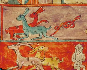 方舟内的动物 作者 