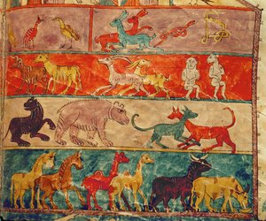 方舟内的动物 作者 