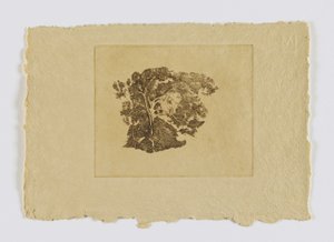 树木研究（资料汇编） 作者 埃米尔·卡尔森