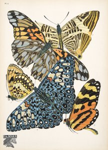 插图 3，选自《Papillons》，1925 年出版（pochoir 版画）。1925 年（pochoir 印刷品） 作者 埃米尔·阿兰·塞盖