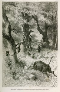 远征队在水牛冲锋陷阵前的路线，由Emile Bayard绘制，用于说明故事。穿越非洲，从桑给巴尔（坦桑尼亚）到本格拉（安哥拉），从1872年到1876年，由V.H.Cameron中尉完成。Le tour du monde中的雕版画 作者 埃米尔·安托万·贝亚德