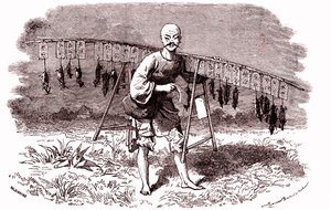 中国的老鼠杀手。 1874年（雕刻） 作者 埃米尔·安托万·贝亚德