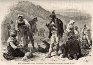 The peasants in the vicinity of Pisino (Croatia), gather for the sale of their farm products on the market: poultry, piglets..., engraving after a drawing by Emile Bayard illustrating the journey in Istria and Dalmatia, in 1874, by Charles Yriarte, publish 作者 埃米尔·安托万·贝亚德