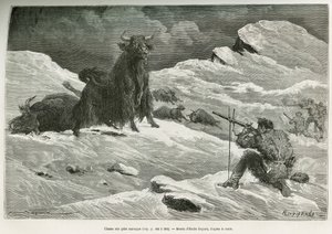 Wild yak hunting scene, drawing by Emile Bayard to illustrate the journey to Mongolia and the land of the Tangoutes from 1870 to 1873, by Lieutenant Colonel Prjewalski. Engraving in Le tour du monde 作者 埃米尔·安托万·贝亚德