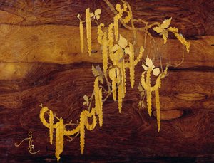 嵌有植物图案的新艺术风格嵌套桌的细节，约1900年，由Emile Galle（1846-1904）设计，细节，法国，20世纪 作者 埃米尔·加勒（Emile Galle）
