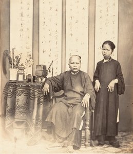 安南妇女，科钦纳州，1866年。