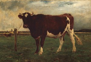 一头牛的研究，187090。 作者 埃米尔·范·马克·德·鲁门（Emile van Marcke de Lummen）