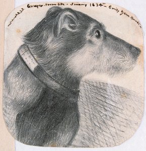 Grasper，来自生活 作者 艾米莉·勃朗特（Emily Bronte）