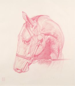 肖像头，2010年（纸上的红色粉笔）