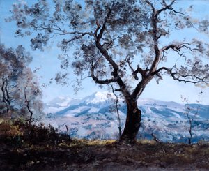 芒通周围地区，靠近罗克布伦，1892年 作者 伊曼纽尔·兰瑟（Emmanuel Lansyer）