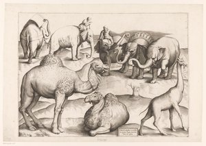 八种动物
古代壁画中的动物（系列名称）
壮丽的罗马壁画（系列名称） 作者 安东尼奥·拉弗里里（Antonio Lafreri）