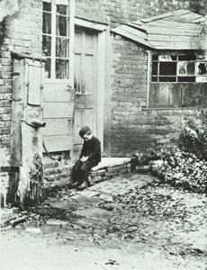 1888年伦敦Frogmore的一个男孩 作者 英国摄影师