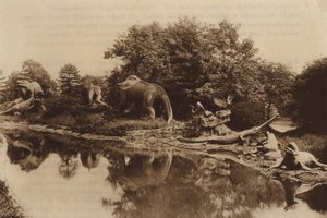 Antediluvian动物 作者 英国摄影师