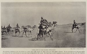 骆驼军团在上埃及的Wadi Halfeh 作者 英国摄影师