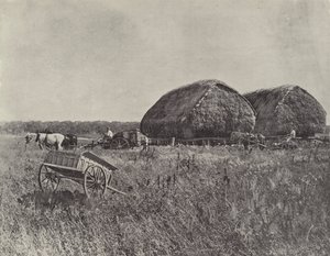 Canning Downs Station 作者 英国摄影师