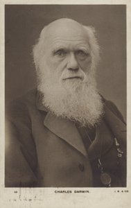 查尔斯达尔文（1809-1882），英国博物学家 作者 英国摄影师