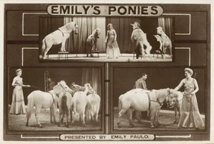Emily Paulo 和她训练有素的表演小马（黑白照片） 作者 英国摄影师