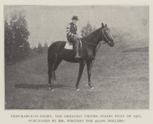 Enduit-Right，1901年最伟大的美国小说，由惠特尼先生以40,000美元购买 作者 英国摄影师