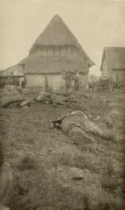 来自与第一次世界大战相关的134张照片的专辑，Western Front，1914-18 作者 英国摄影师