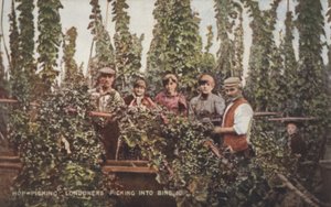 采摘者（彩色照片） 作者 英国摄影师
